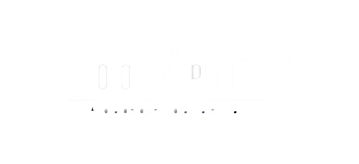 Cliente 7